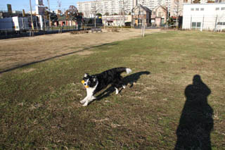 130101_hachi-1a.JPG