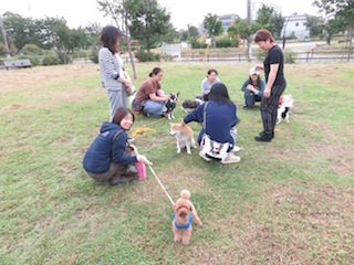 161002_2151.JPG