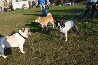 20131116_7455.JPG