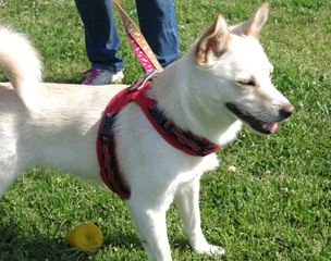20140504_1640.JPG