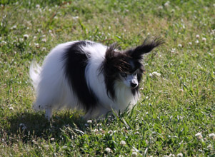 20140511a_8382.JPG