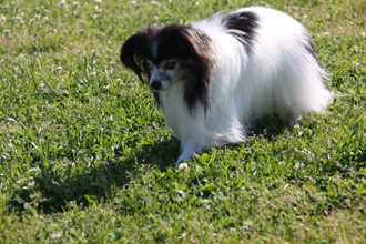 20140511d_8385.JPG