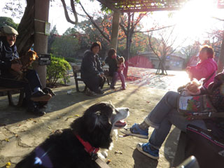 20141124_park2.JPG