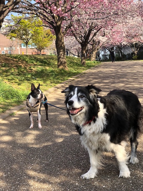 20190307_1_IMG_1337.jpg