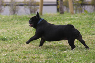7_IMG_6966.JPG