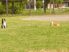 P1020419b.jpg