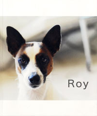 Roy%E5%86%99%E7%9C%9F%E9%9B%86001.jpg