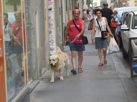 italy_4037.JPG