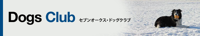 Hachi Diary ハチの散歩日記